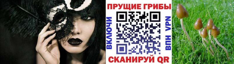 Псилоцибиновые грибы мухоморы  продажа наркотиков  Еманжелинск 